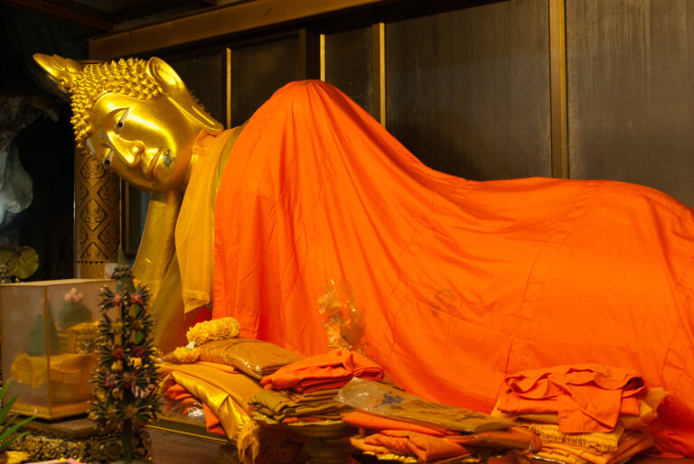  Flutter connectivity plus Flutter Salon