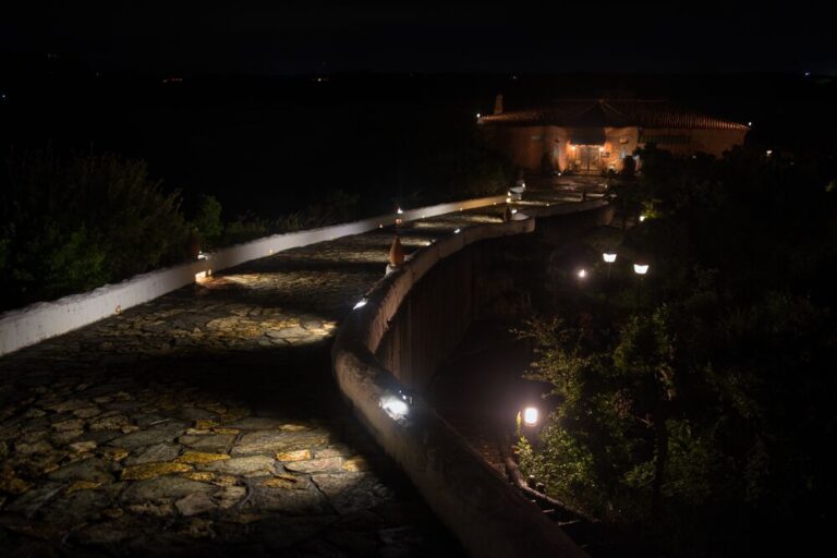 Flutter Flutter Salon