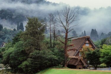 【Dart】Uriの挙動詳細